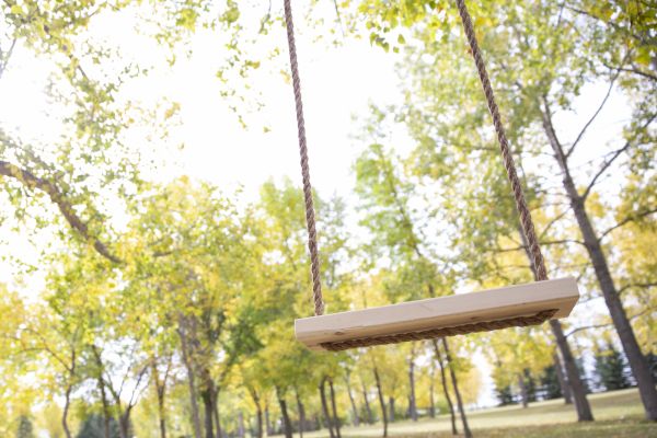 Cost of Swing Installation in Mchenry