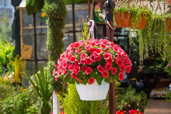 Cost of Hanging Planter Installation in Mchenry