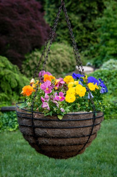 Cost of Hanging Basket Installation in Mchenry