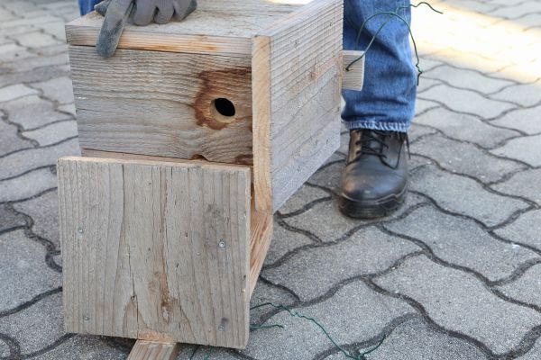 Cost of Birdhouse Mounting in Mchenry
